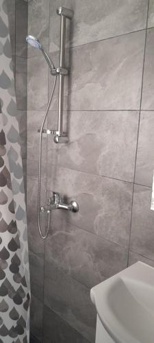 a shower stall in a bathroom with a toilet at Colt de rai in Secăria