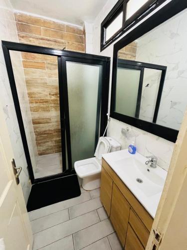 a bathroom with a toilet and a sink and a shower at World Prestige Properties in Dakar