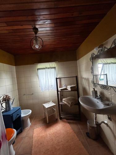 a bathroom with a sink and a toilet and a mirror at The Cottage Guest House in Vale Coelho