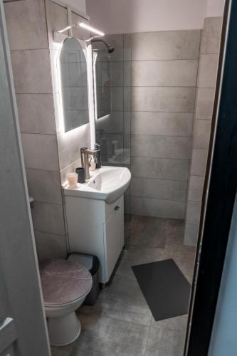 a bathroom with a sink and a toilet and a mirror at Apartament Deea in Orşova