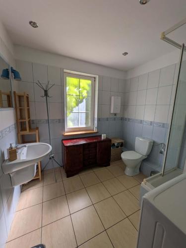 a bathroom with a toilet and a sink and a window at Gospodarstwo agroturystyczne nad jeziorem wśród lasów in Lipnica
