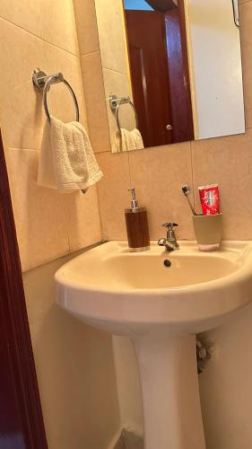 a bathroom with a white sink and a mirror at ZulynHomes in Kisumu