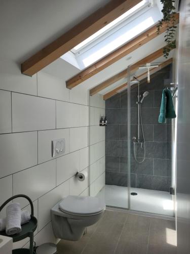 a bathroom with a toilet and a glass shower at Casa Solis Losinj in Mali Lošinj