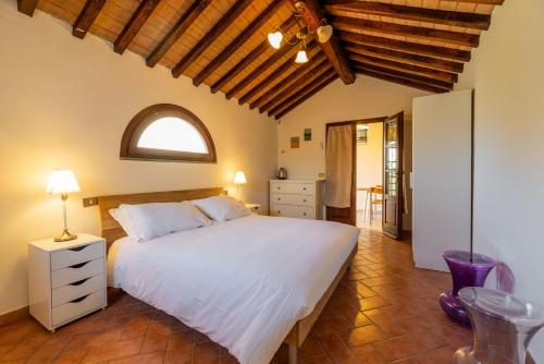 a bedroom with a large white bed with an arched window at Windrose Cottage di Gio in Pisa