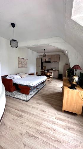 a bedroom with a large bed and a kitchen at Appartement Centre ville Le blanc in Le Blanc