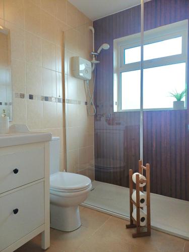 a bathroom with a toilet and a shower with a window at Teach Barney in Falcarragh