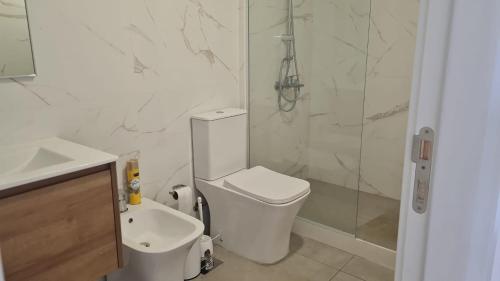 a bathroom with a toilet and a shower and a sink at Seaside Piriápolis apartamento 105 in Piriápolis