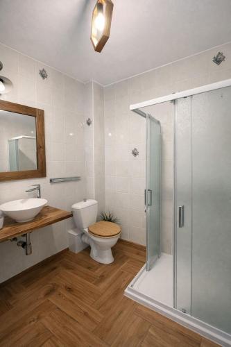 a bathroom with a shower and a toilet and a sink at Penzion Cizku u Trebone in Třeboň