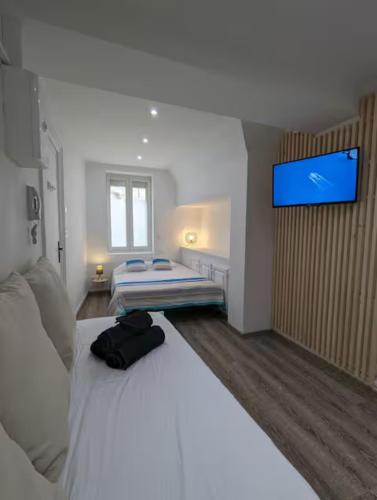 a bedroom with two beds and a flat screen tv at Les nids de Lagasse in Agen