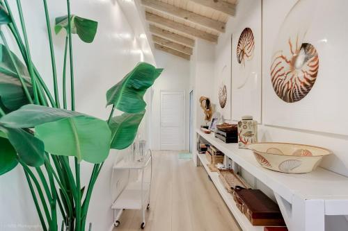 a room with white walls and a large green plant at Villa Serena Water Island in Water Island