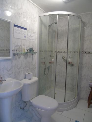 a bathroom with a shower and a toilet and a sink at Complejo Turistico Arena Gruesa in Ancud