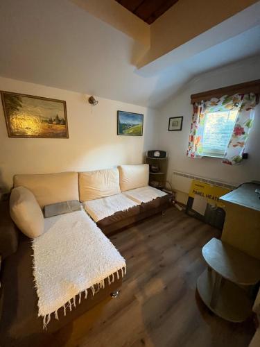 a living room with a couch and a table at Počitniška hiša Eva in Velike Lašče