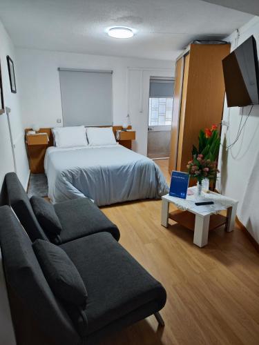 a bedroom with a bed and a couch and a tv at A Casa dos Avós in Cativelos