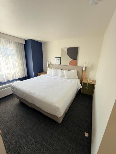 a large white bed in a hotel room at Microtel Inn and Suites by Wyndham Appleton in Appleton