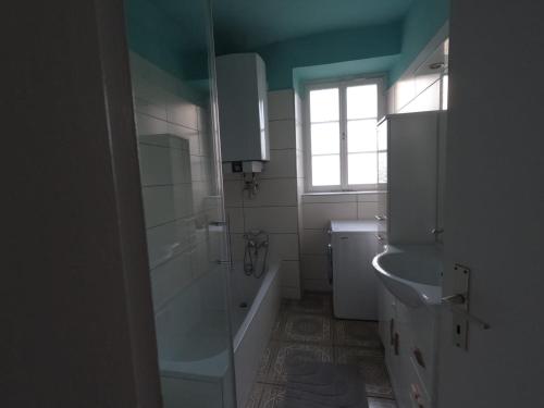 a bathroom with a shower and a toilet and a sink at Ferienwohnung Altes Pfarrhaus in Blumberg