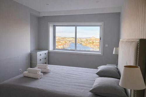 Panoramic Douro View - Bridge & City Centre