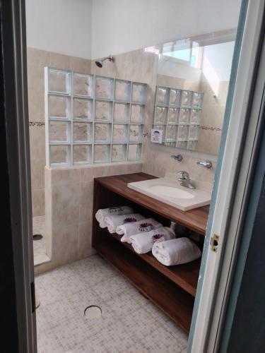 a bathroom with a sink and a counter with towels at Casa las Flores in Puerto Vallarta