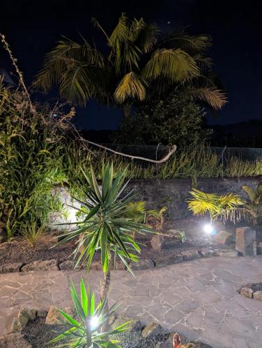a hammock in a garden at night at Vulcânica - Boutique Suites in Furnas São Miguel in Furnas