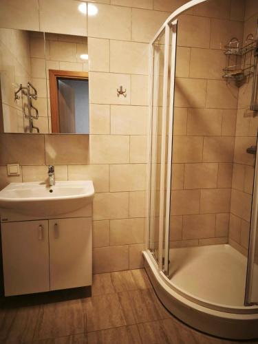 a bathroom with a sink and a shower at Pilnų namų bendruomenė in Panara