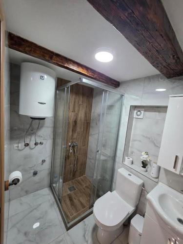 a bathroom with a shower and a toilet and a sink at Sunrise Skadar lake in Braćeni