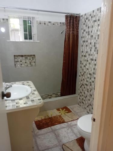 a bathroom with a sink and a toilet and a shower at 1 Bed Flat at Coconut Villa in Spanish Town