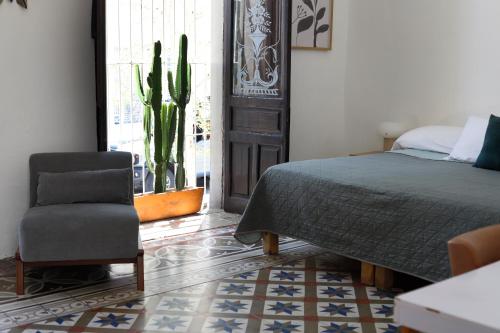 a bedroom with a bed and a chair and a cactus at Casa Sabina Expiatorio in Guadalajara