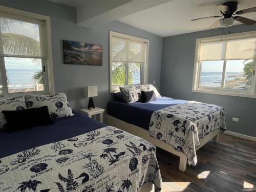 a bedroom with two beds and two windows at Jaguar Club & Casitas in Santa Clara