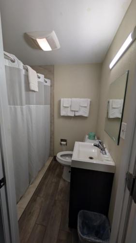 a bathroom with a sink and a toilet and a mirror at Red Lion Motel Southampton in Southampton