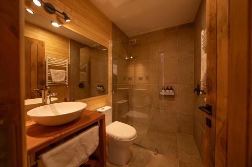 a bathroom with a sink and a toilet and a shower at Cuyul Lodge in Malalcahuello