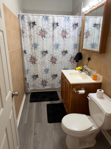 a bathroom with a toilet and a shower curtain at Providence Cozy Stays in Providence