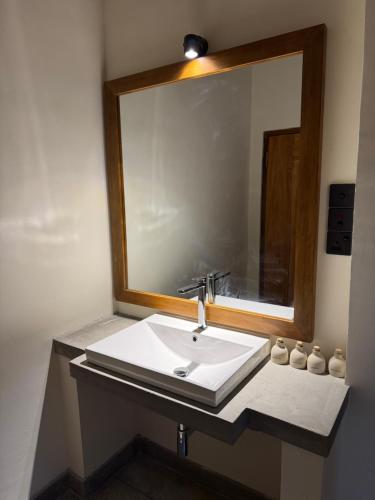 a bathroom with a sink and a large mirror at Cinnamonhouse Villa in Poregedara