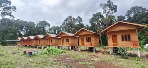 a row of wooden houses in a field at Konglor cave Resort - River side Restaurant in Ban Konglo