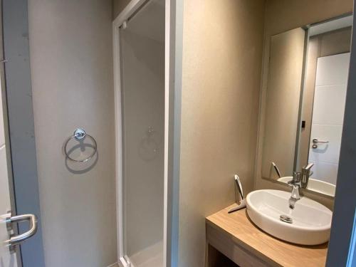 a bathroom with a sink and a shower at Chalet avec animaux acceptés - 2 pers. - API-1-52-2308 in Coulon
