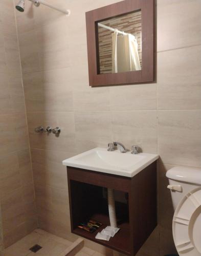 a bathroom with a sink and a toilet and a mirror at Fran hotel boutique in Mendoza