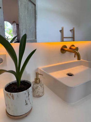 Comfortable guest rooms at White Coconut Resort, White Coconut Resort