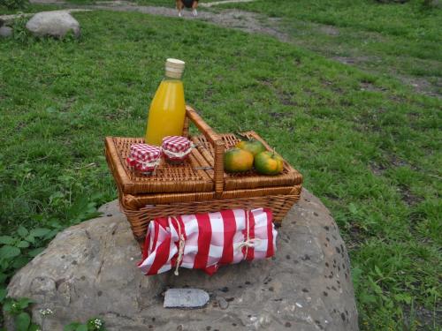 a basket of fruit and a bottle of juice on a rock at Glamping El Establo in San Francisco
