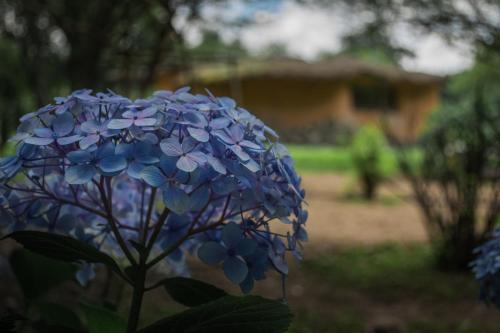 Killa Sumaj casas – Photos 4