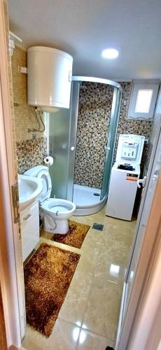 a bathroom with a shower and a toilet and a sink at WOODSTONE APARTMAN in Podgorica