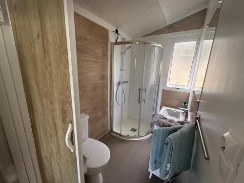 a bathroom with a shower and a toilet and a sink at Petit chalet cosy house in Hermanville-sur-Mer