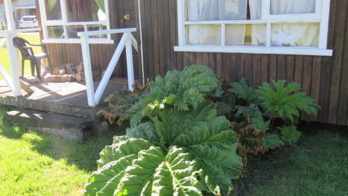 a plant in front of a house with a porch at Cabañas Campestres Villarrica in Villarrica