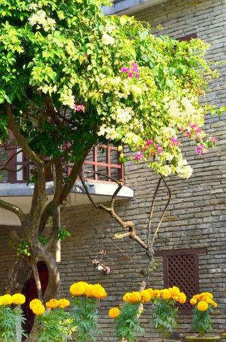 a tree with flowers in front of a brick building at Mum's Garden Resort in Pokhara