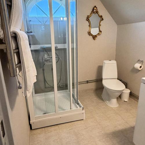 a bathroom with a shower and a toilet at Tunnby Gårdshotell in Nyhamnsläge