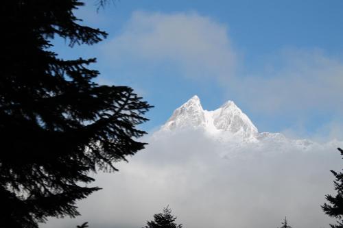 a view of a snow covered mountain with trees at Mestia Residence in Mestia
