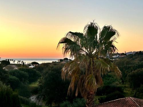 a palm tree in front of a sunset at Chambre avec piscine, jacuzzi, vue mer et montagne, plage à pied in Roquebrune-sur-Argens