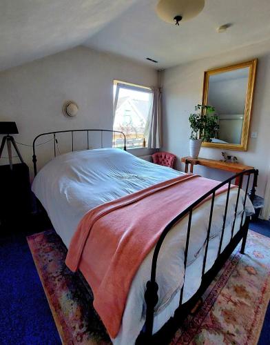 a bedroom with a bed and a mirror at Carmen's Stay In - Dichtbij Amsterdam- Jaagweg 13 - Ilpendam in Ilpendam