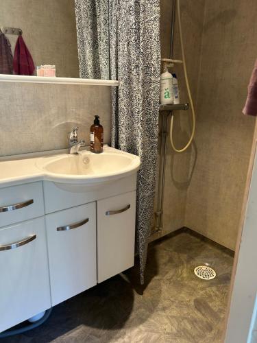 a bathroom with a sink and a shower curtain at Sommartornsgård in Munkedal