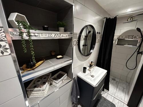 a small bathroom with a sink and a mirror at Au Cocon Alsacien in Wintzenheim