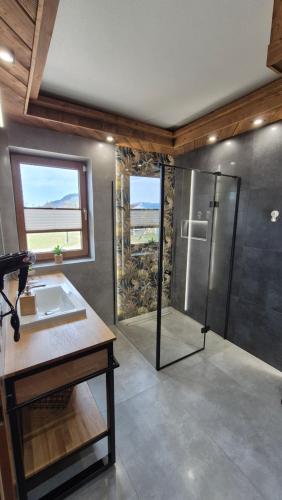 a bathroom with a shower and a sink and a counter at Dychnijzese in Czarna Góra