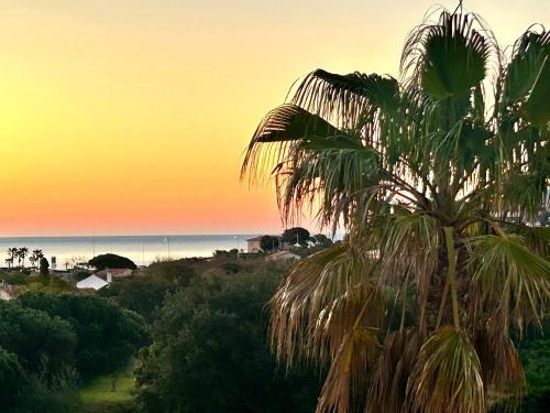 a palm tree in front of a sunset at Chambre avec piscine, jacuzzi, vue mer et montagne, plage à pied in Roquebrune-sur-Argens