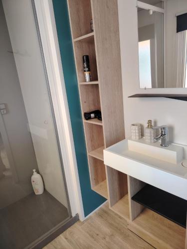a bathroom with a sink and a mirror at MOBIL-HOME "B30" tout confort avec piscine & lave-linge gratuit in Mimizan